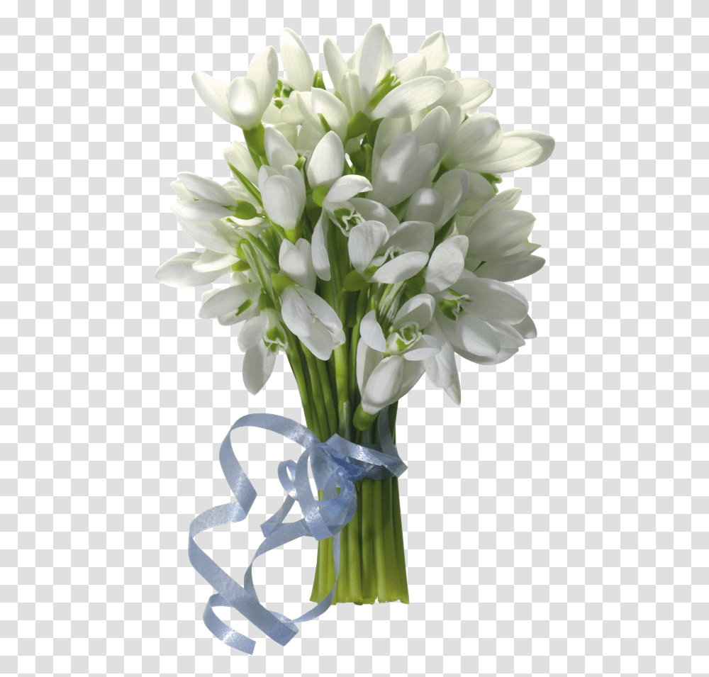 Vitannya Z Vosmim Bereznya, Plant, Flower, Blossom, Flower Arrangement Transparent Png