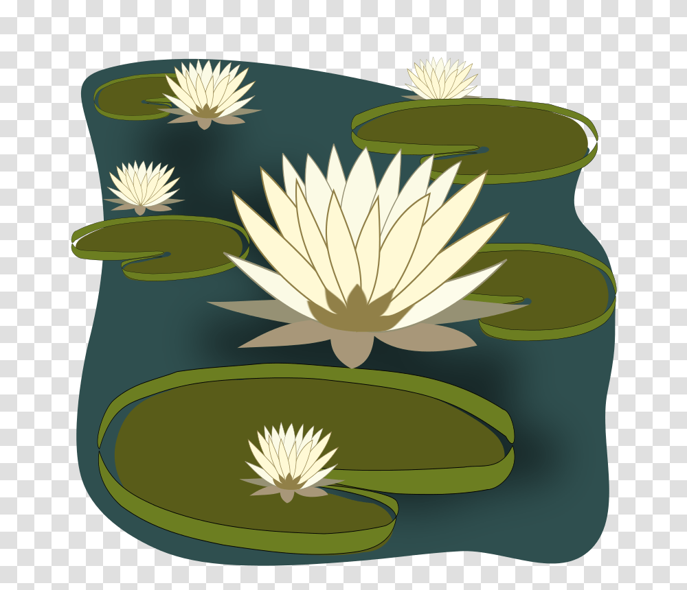 Vitoria Regia, Nature, Plant, Flower, Pond Lily Transparent Png