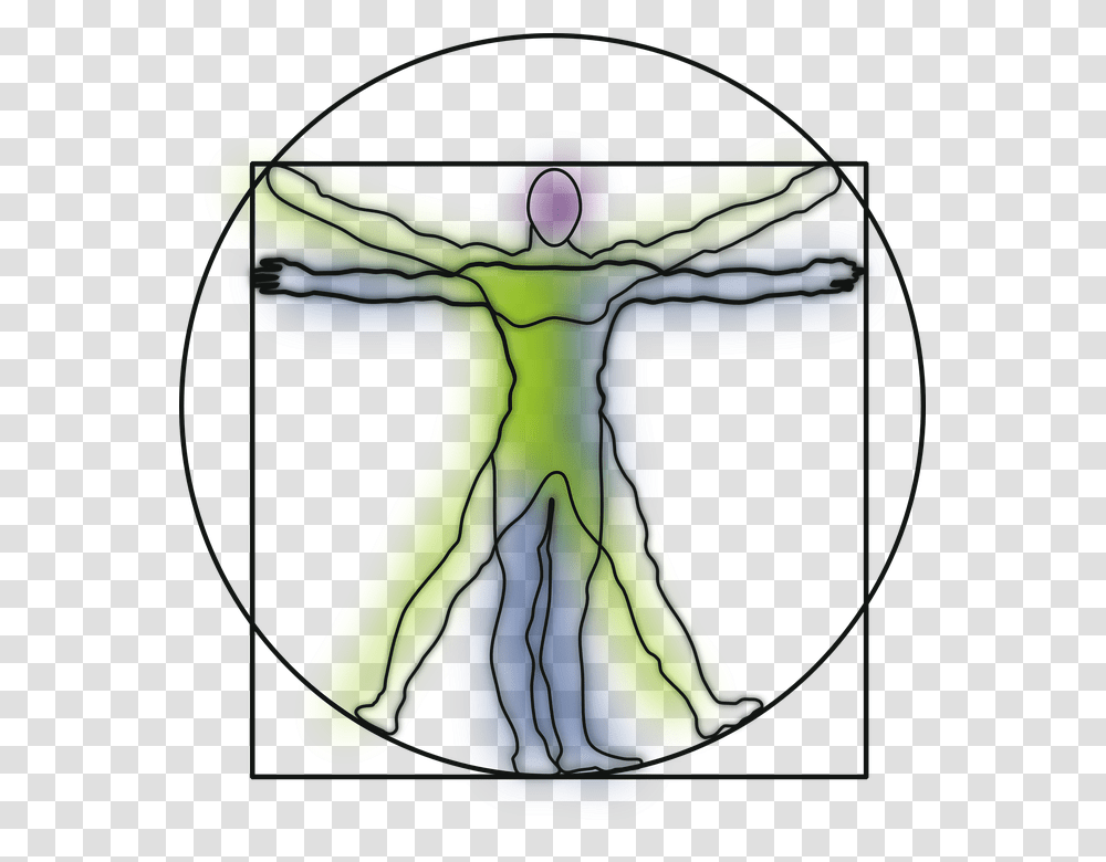 Vitruvian Man Anatomy Science Leonardo Da Vinci Line Art Vitruvian Man, Light, Cross, Pattern Transparent Png