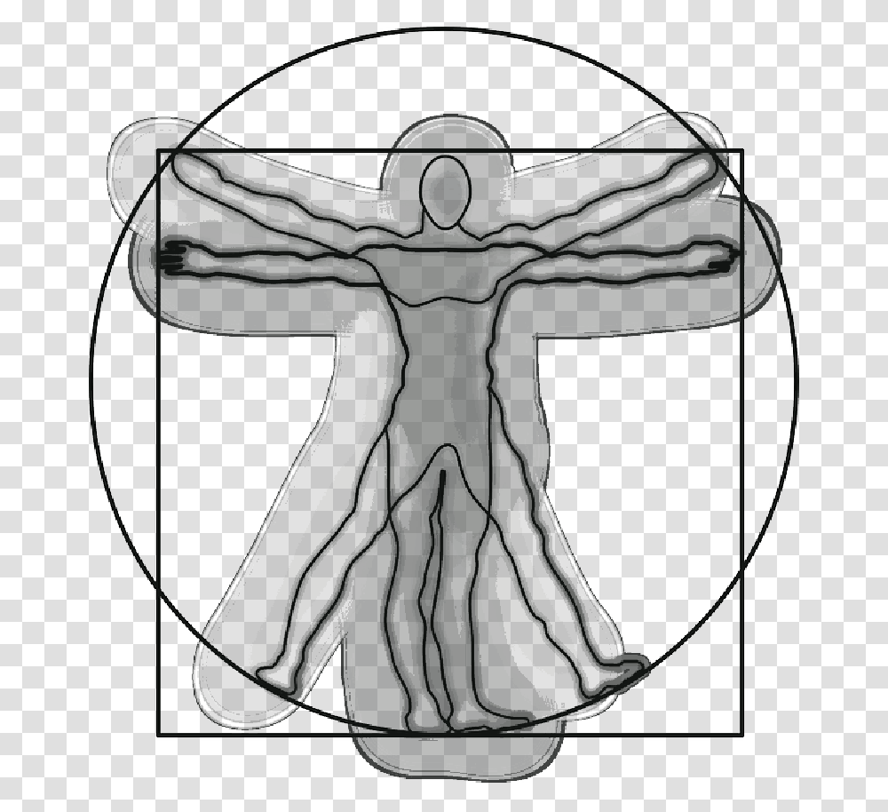 Vitruvian Man Anatomy Science Leonardo Da Vinci Vitruvian Man, Bow, Archery Transparent Png