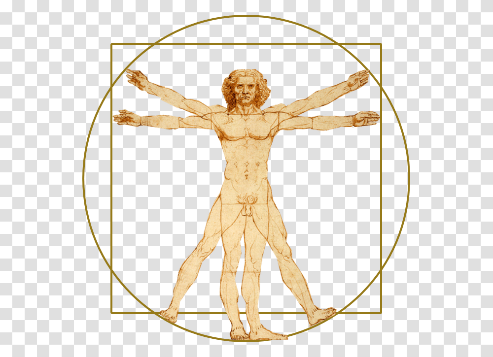Vitruvian Man, Cross, Person, Human Transparent Png