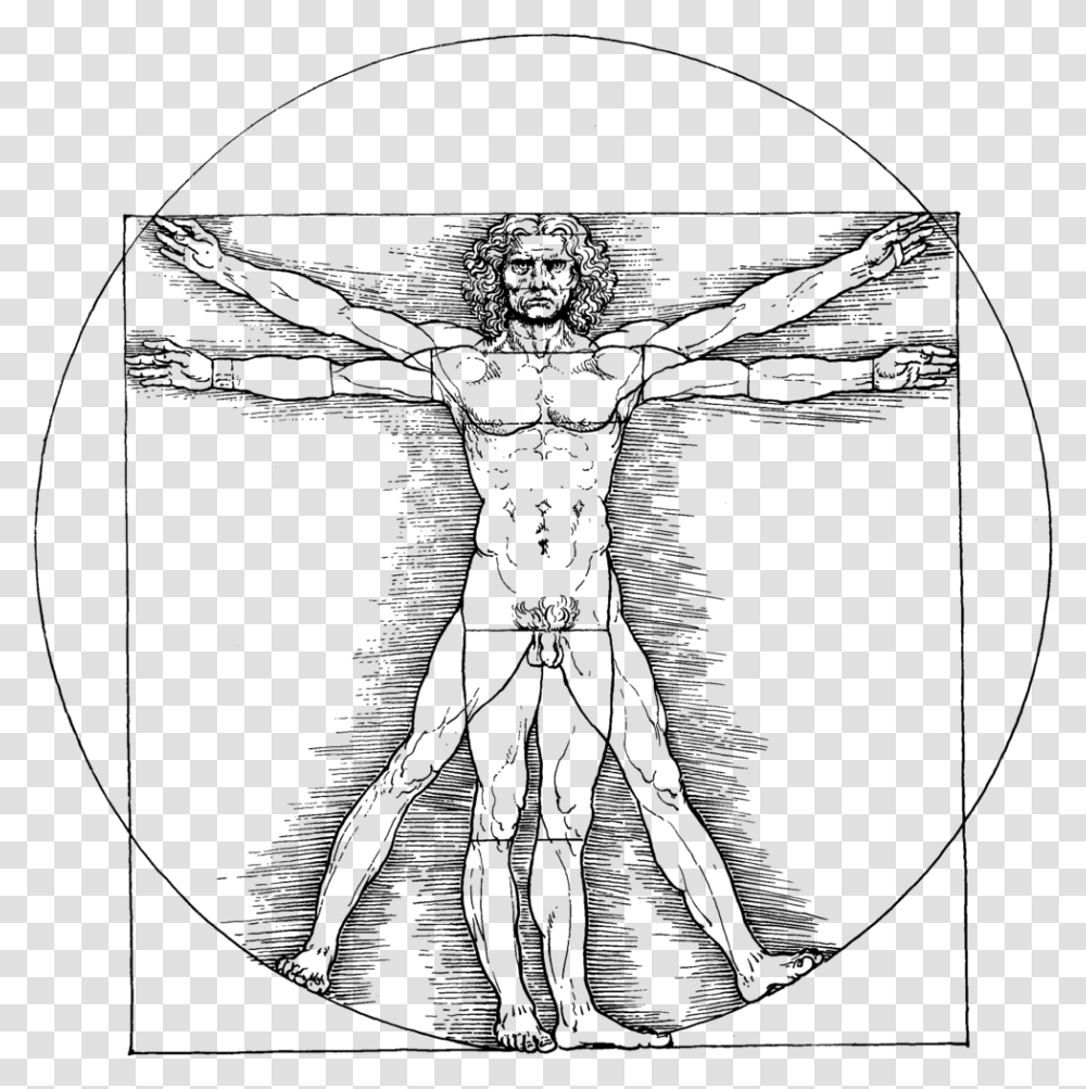 Vitruvian Man Da Vinci Vitruvian Man Transparent Png