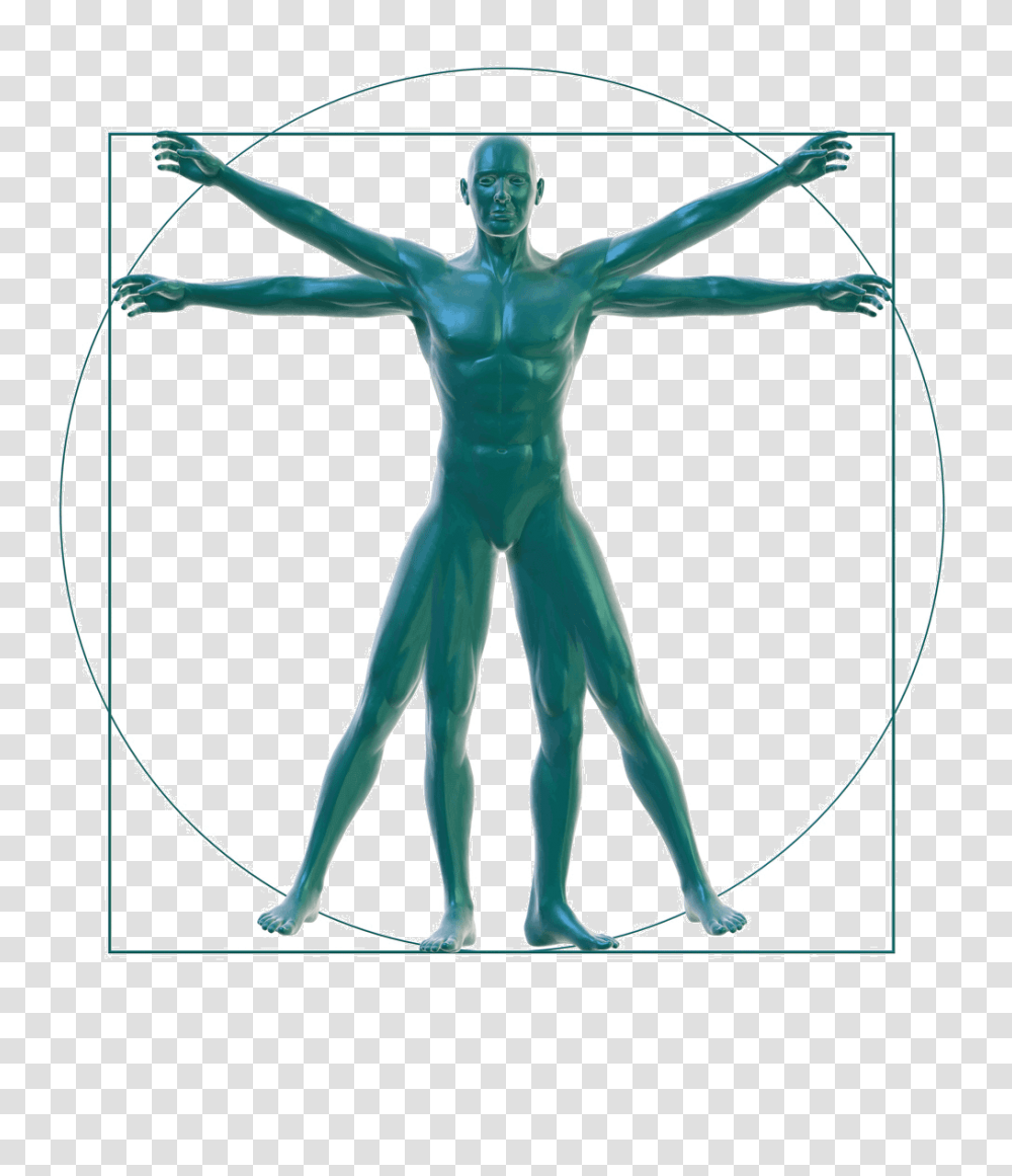 Vitruvian Man On White, Cross, Statue, Sculpture Transparent Png