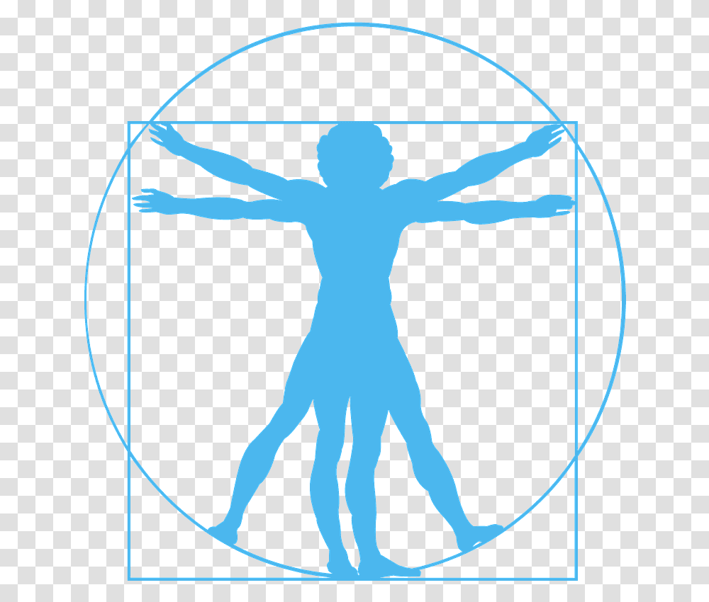 Vitruvian Man Silhouette, Bow, Person, Human Transparent Png