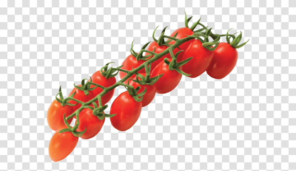 Vittoria Tomatoes Home Eng Vittoria Tomato, Plant, Vegetable, Food Transparent Png