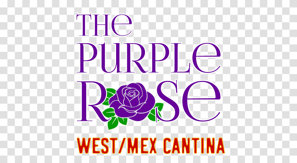 Viva La Purple Rose West Mex & Cantina - Just Another Hybrid Tea Rose, Text, Label, Alphabet, Urban Transparent Png