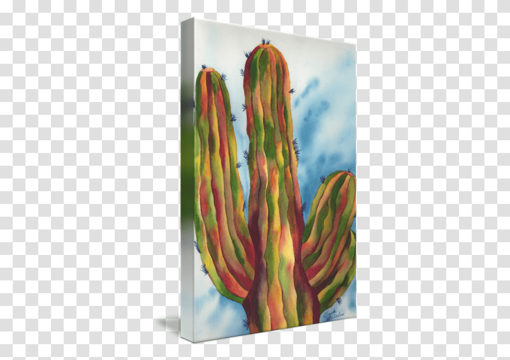 Vivid And Majestic Saguaro Cactus Watercolor Art By Gayela Chapman Mckelvie San Pedro Cactus, Plant, Food, Vegetable, Painting Transparent Png