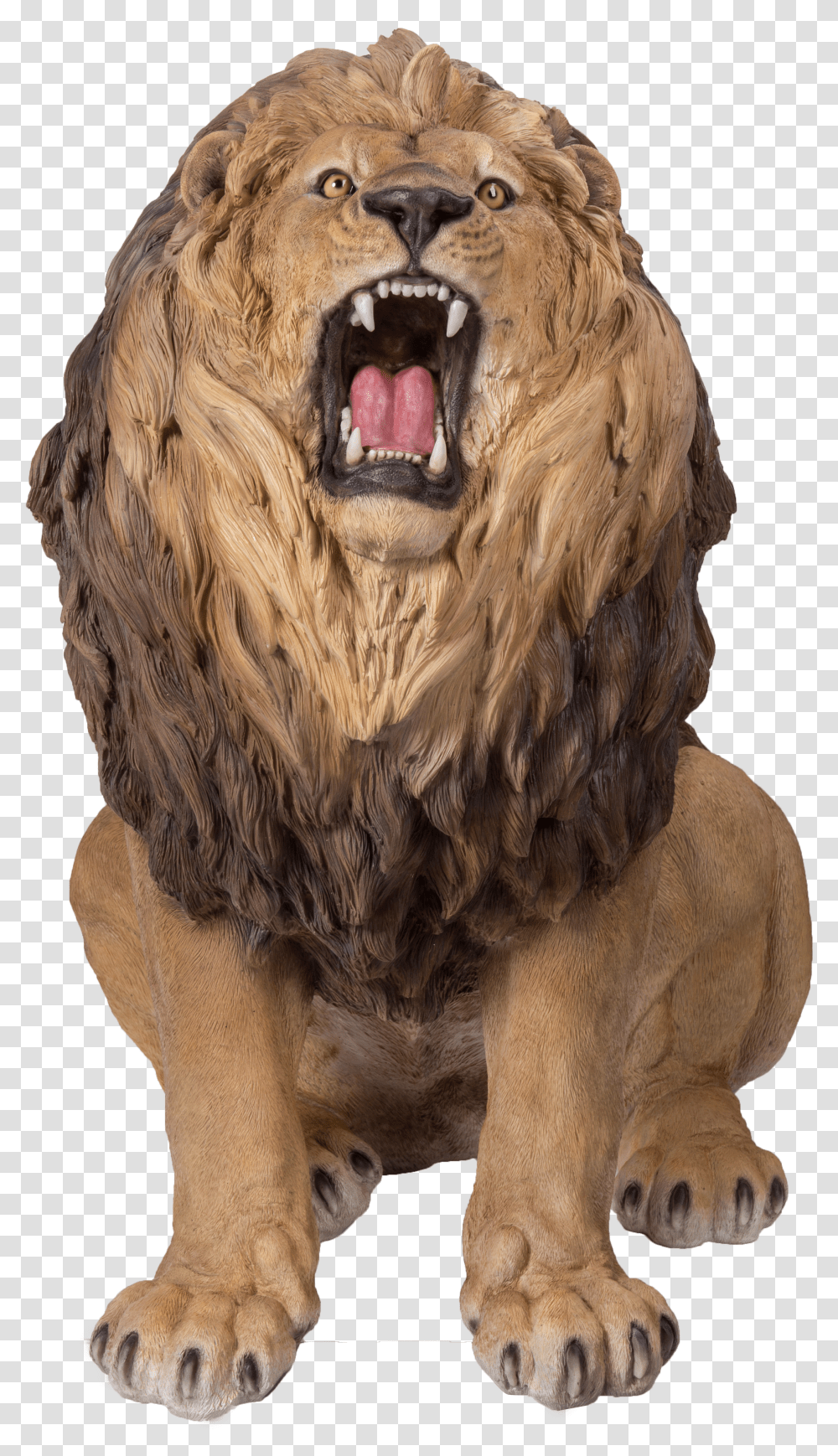 Vivid Arts Lion Transparent Png