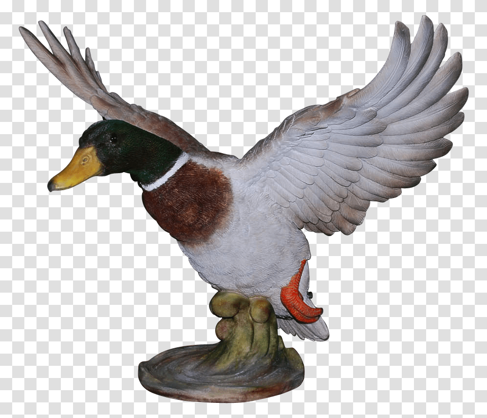 Vivid Arts Resin Flying Duck Medium Mallard, Bird, Animal, Waterfowl, Chicken Transparent Png