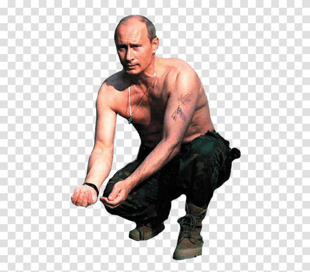 Vladimir Putin, Celebrity, Person, Human, Arm Transparent Png