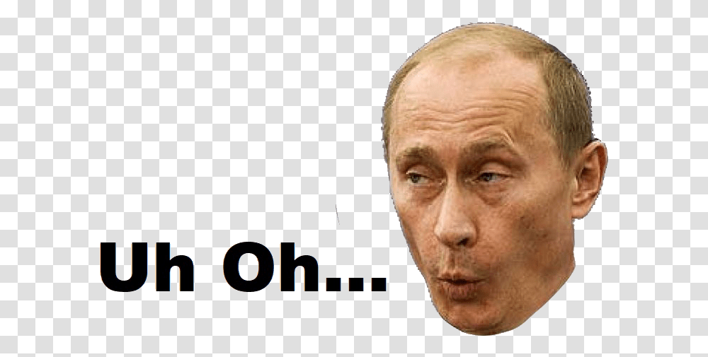 Vladimir Putin Download, Head, Face, Person Transparent Png