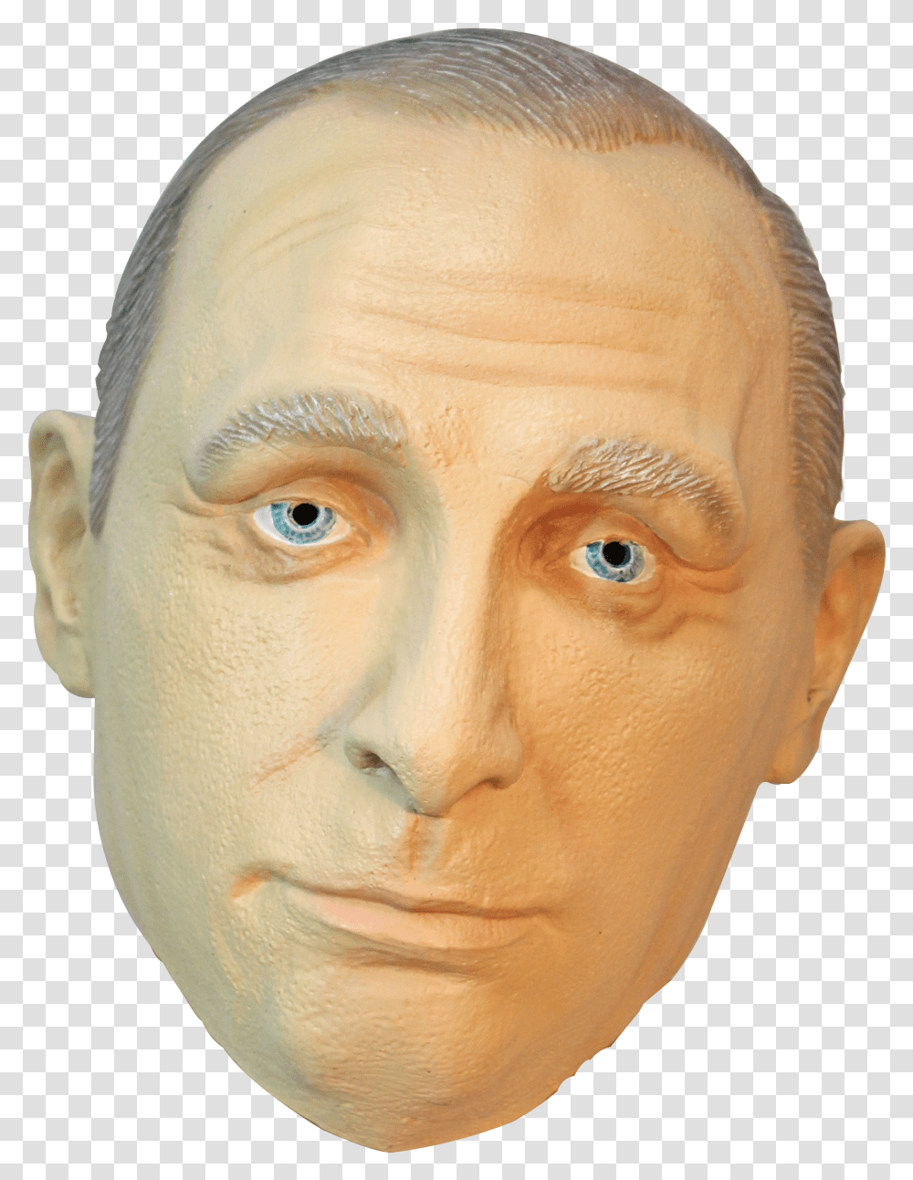Vladimir Putin Transparent Png