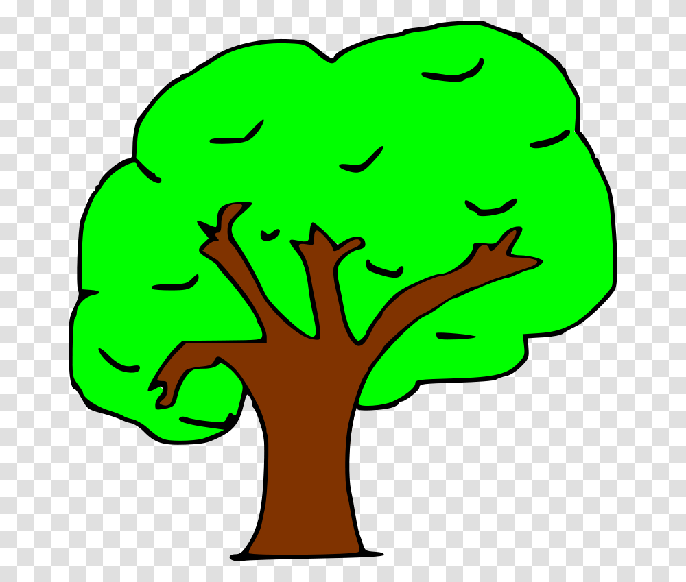 Vochoman Arbol, Nature, Plant, Hand, Tree Transparent Png