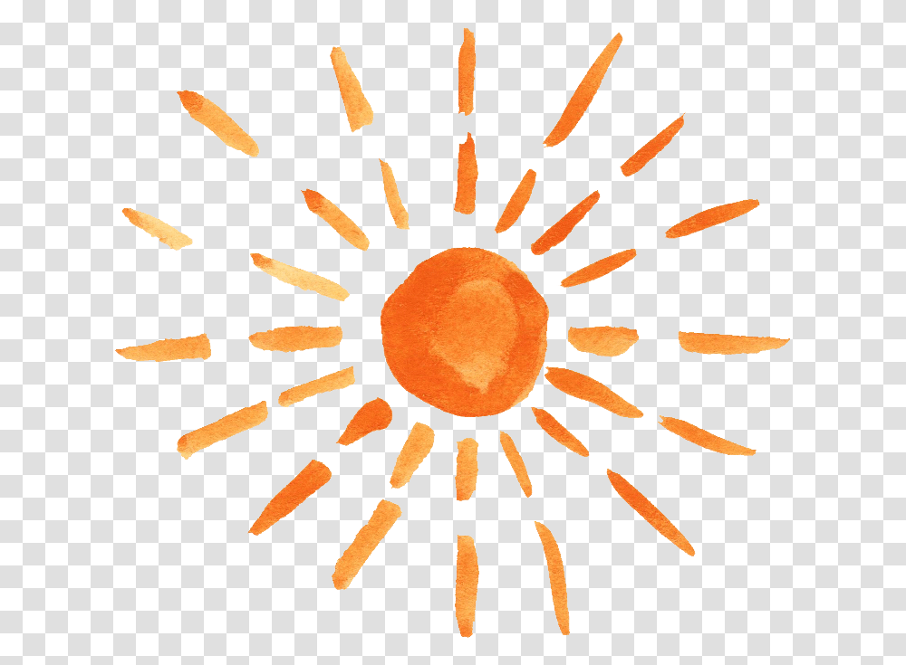 Vol Sun Watercolor, Peel, Plant, Food, Stain Transparent Png