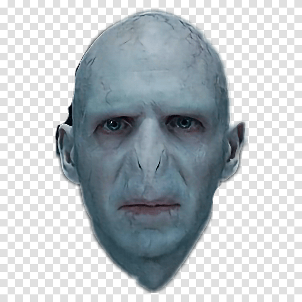 Voldemort, Head, Person, Human, Face Transparent Png