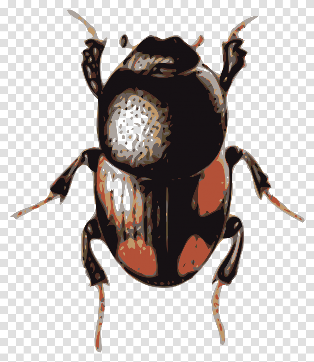 Volkswagen Beetle Clip Art Beetle Clipart, Insect, Invertebrate, Animal, Cockroach Transparent Png