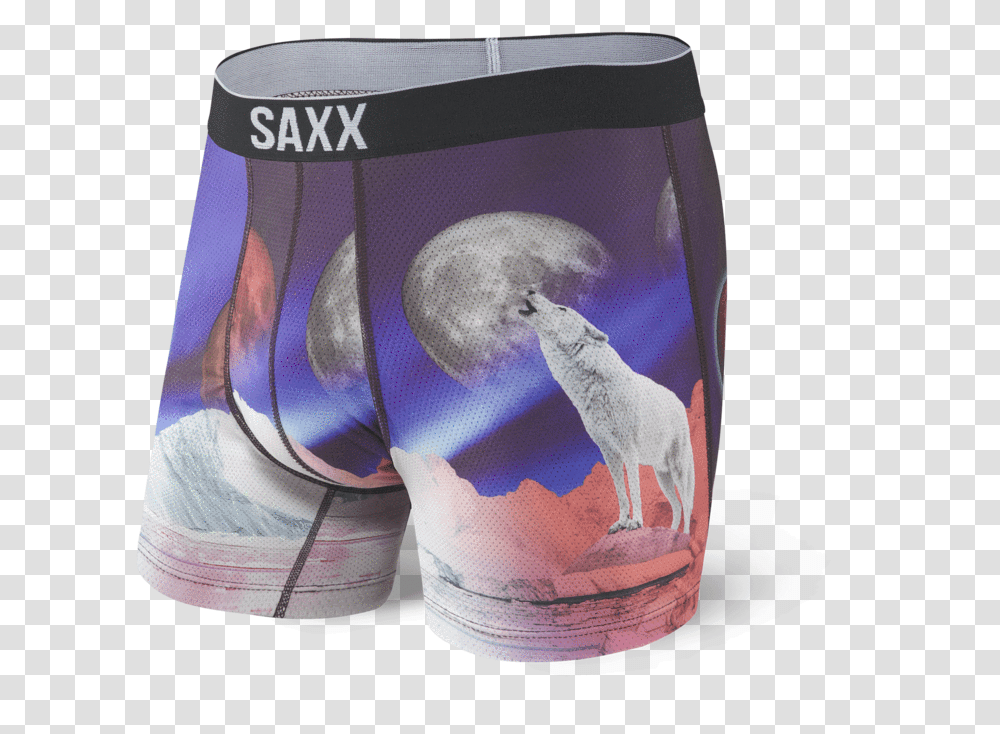 Volt Saxx Volt Boxer Brief, Apparel, Underwear, Lingerie Transparent ...