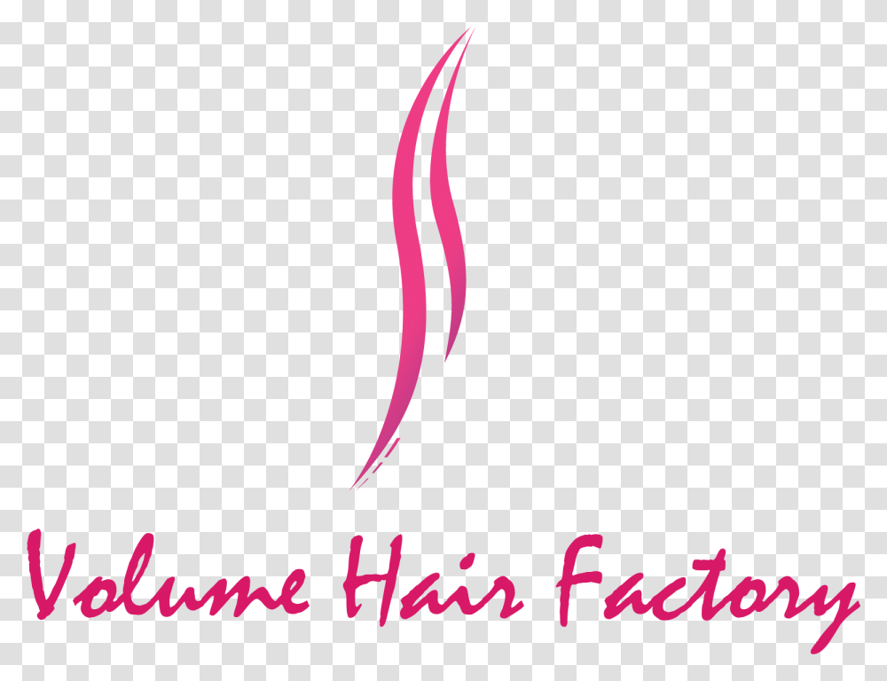 Volume Hair Factory Hugo A Owens Middle School, Plant, Text, Flower, Label Transparent Png