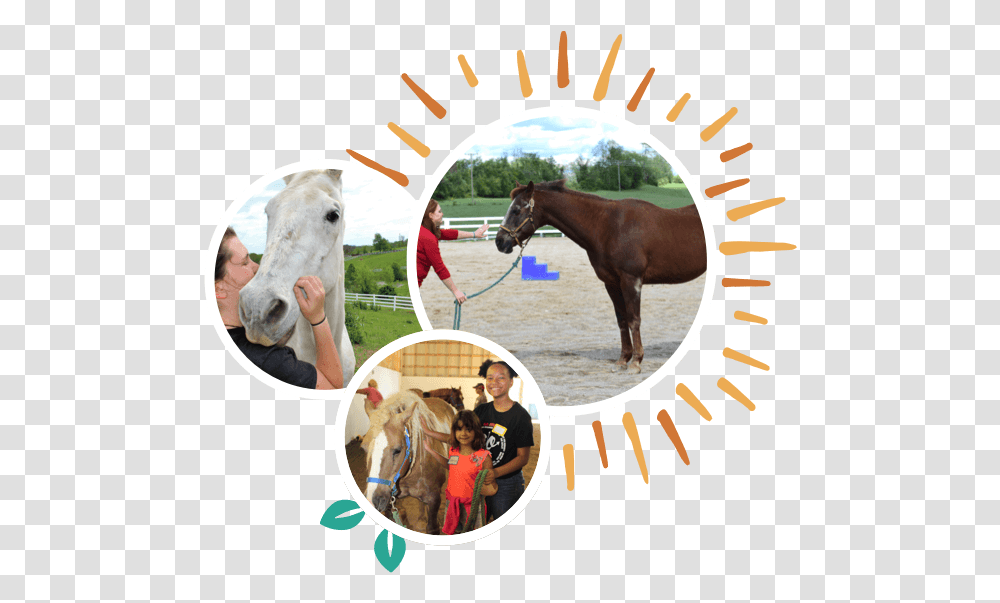 Volunteer New Day Ranch Sorrel, Person, Horse, Mammal, Animal Transparent Png