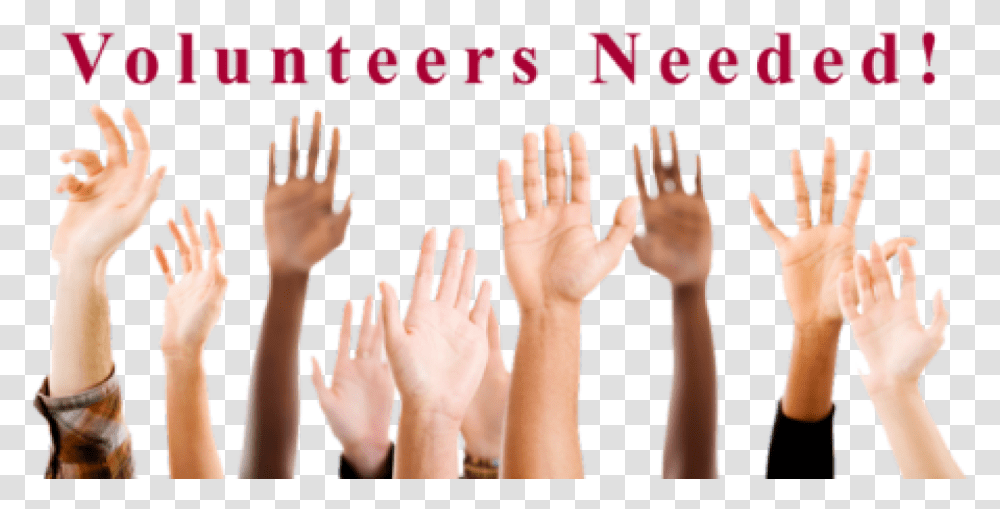 Volunteers To Represent A Questions Student, Hand, Wrist, Finger, Person Transparent Png