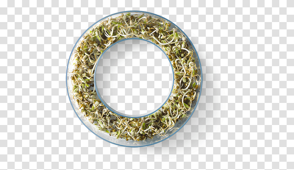 Vooking Sproutr Decorative, Meal, Food, Plant, Accessories Transparent Png