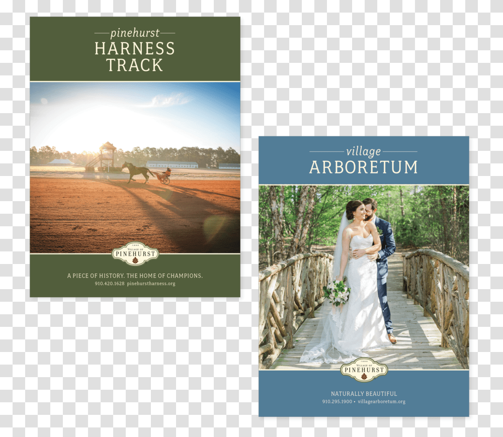 Vop Brochures Bride, Apparel, Person, Human Transparent Png