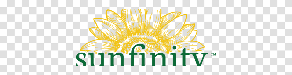 Vote Sunfinity Sunflowers For Greenhouse Growers Readers Choice, Plant, Pollen, Advertisement Transparent Png