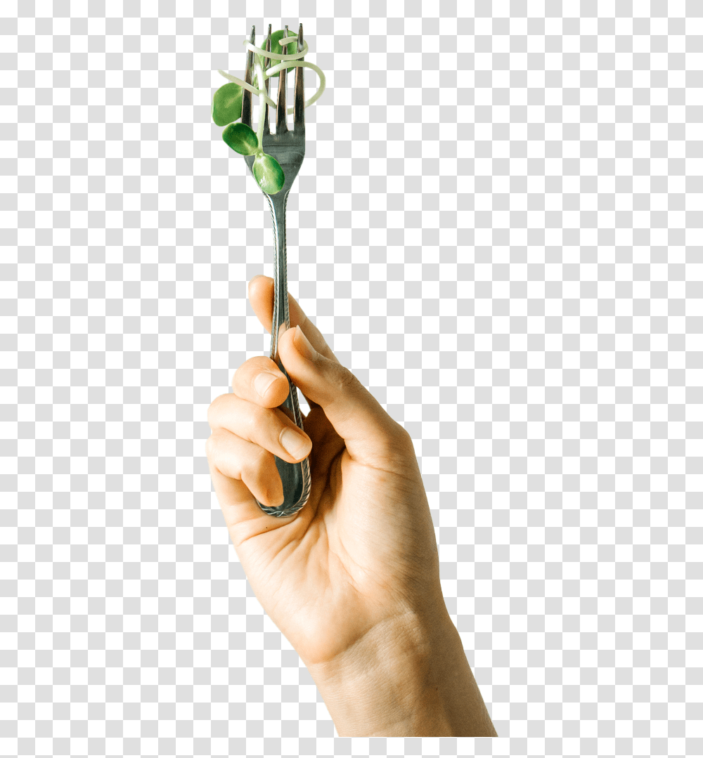 Vote With Fork Tree, Person, Human, Finger, Spoon Transparent Png