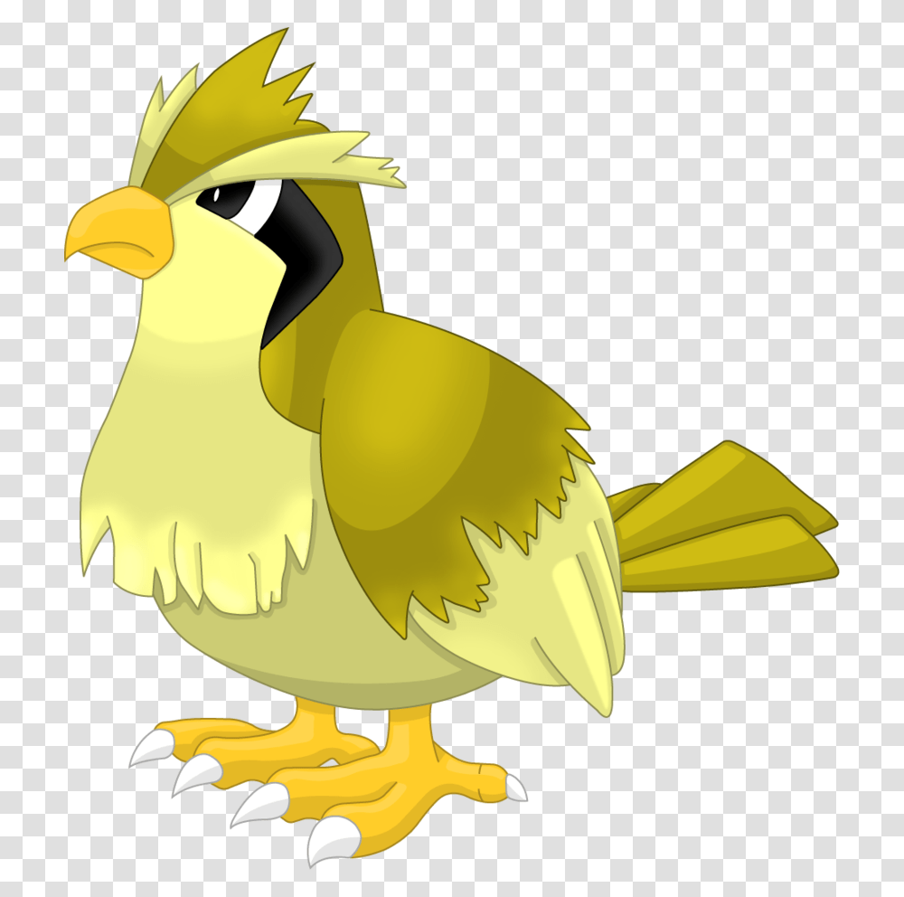 Vp, Bird, Animal, Fowl, Pelican Transparent Png