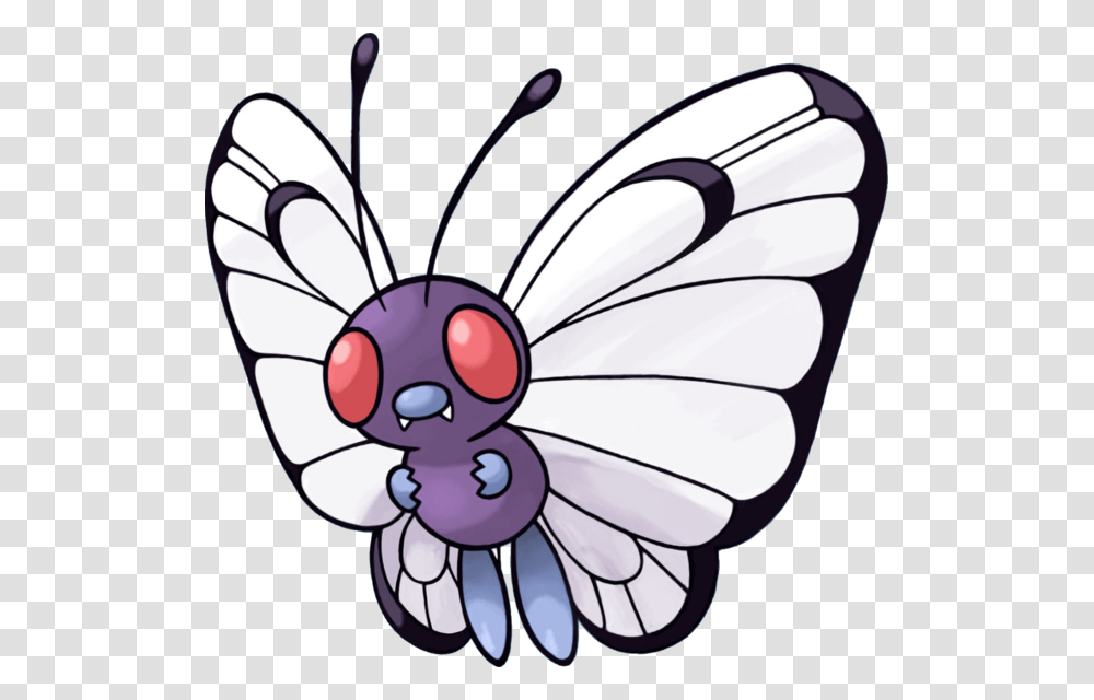 Vp, Insect, Invertebrate, Animal, Wasp Transparent Png