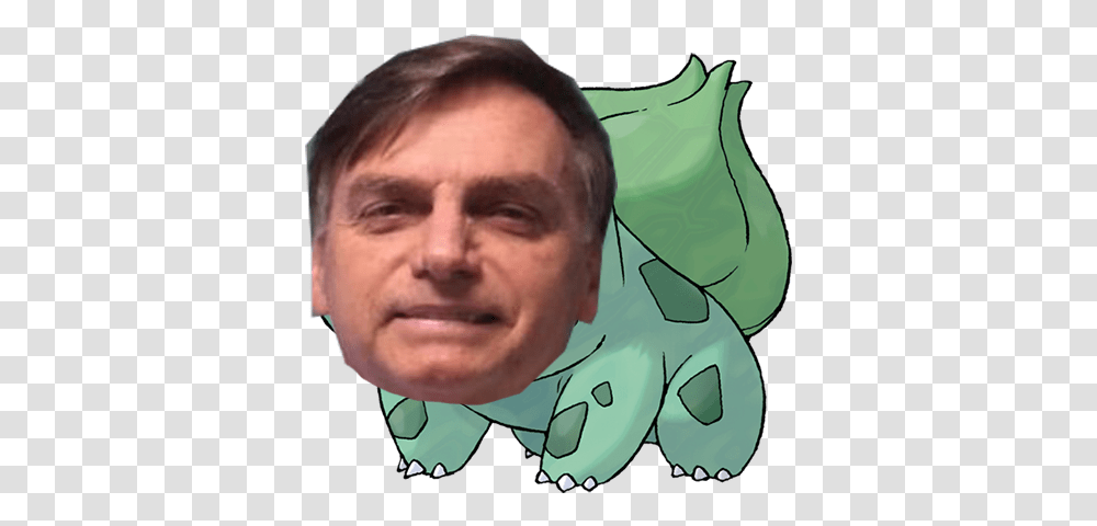 Vp Pokmon Searching For Posts With The Image Hash Pokemon Bulbasaur, Head, Face, Person, Smile Transparent Png