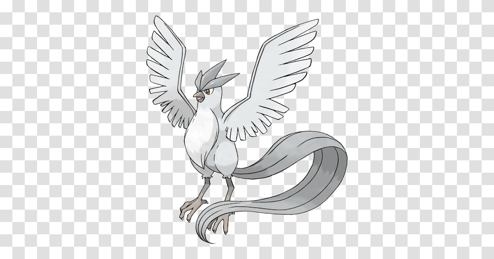 Vp Pokmon Thread 18897529 Articuno Pokemon, Animal, Bird, Flying, Waterfowl Transparent Png