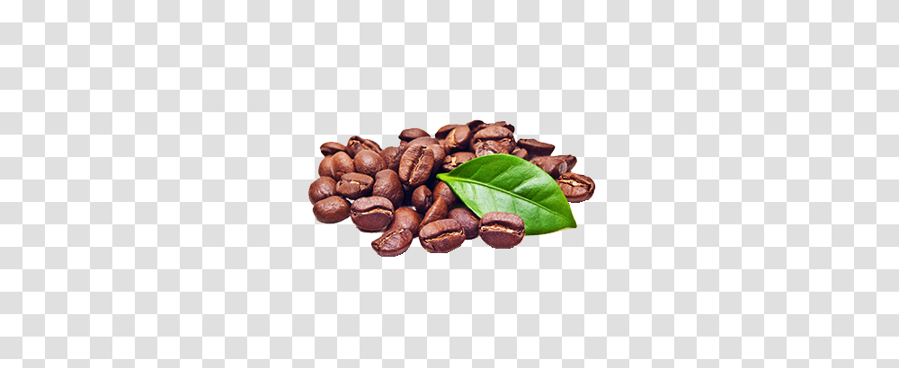Vqm Our Vqm Coffee Packaging Solutions, Plant, Food, Vegetable, Seed Transparent Png