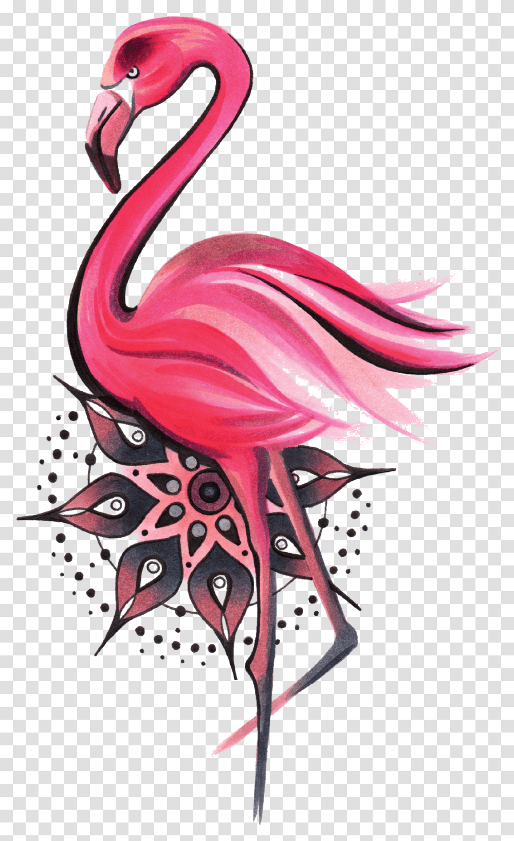 Vremennaya Tatu Flamingo I Mandala Flamingo Mandala, Bird, Animal Transparent Png