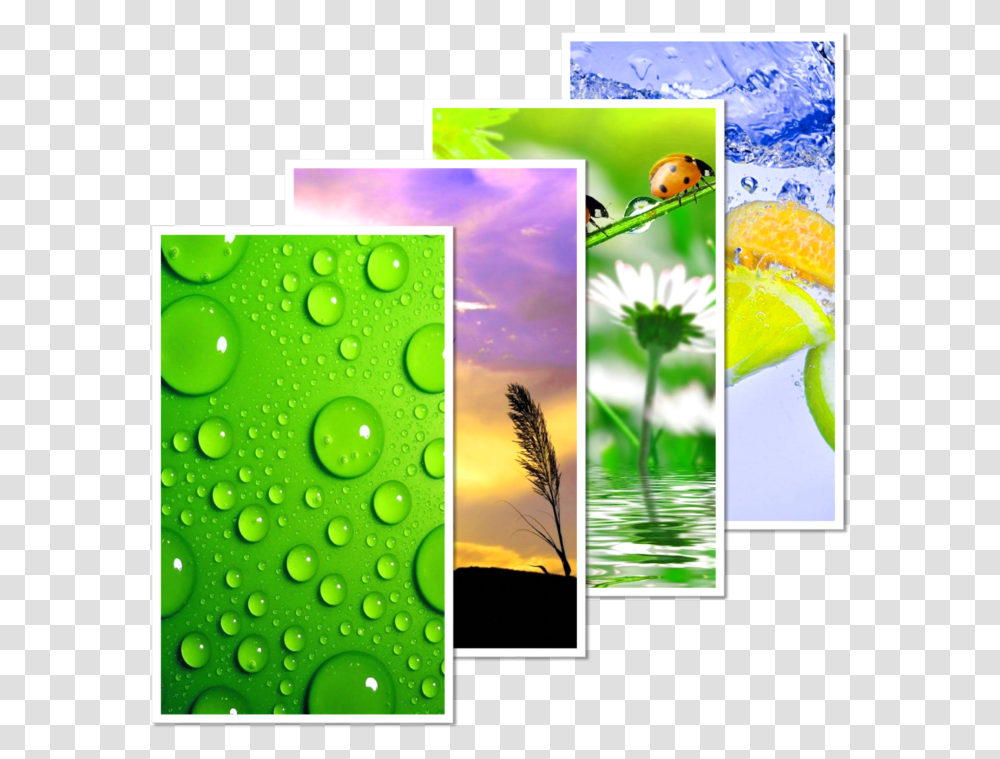 Vs Hd Wallpapers Wallpaper Hd Gb Wallpaper Hd, Green, Plant, Poster, Advertisement Transparent Png