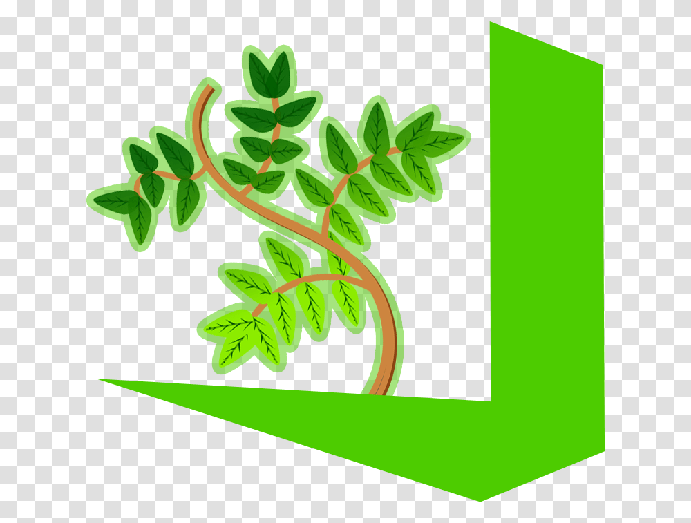 Vscodum Logo Vscodium Icon, Plant, Leaf, Green, Fern Transparent Png