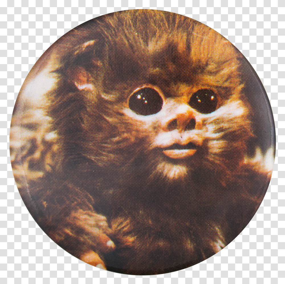Vtg Baby Ewok Star Wars 83 Return Ewok From Star Wars, Moon, Outer Space, Night, Astronomy Transparent Png