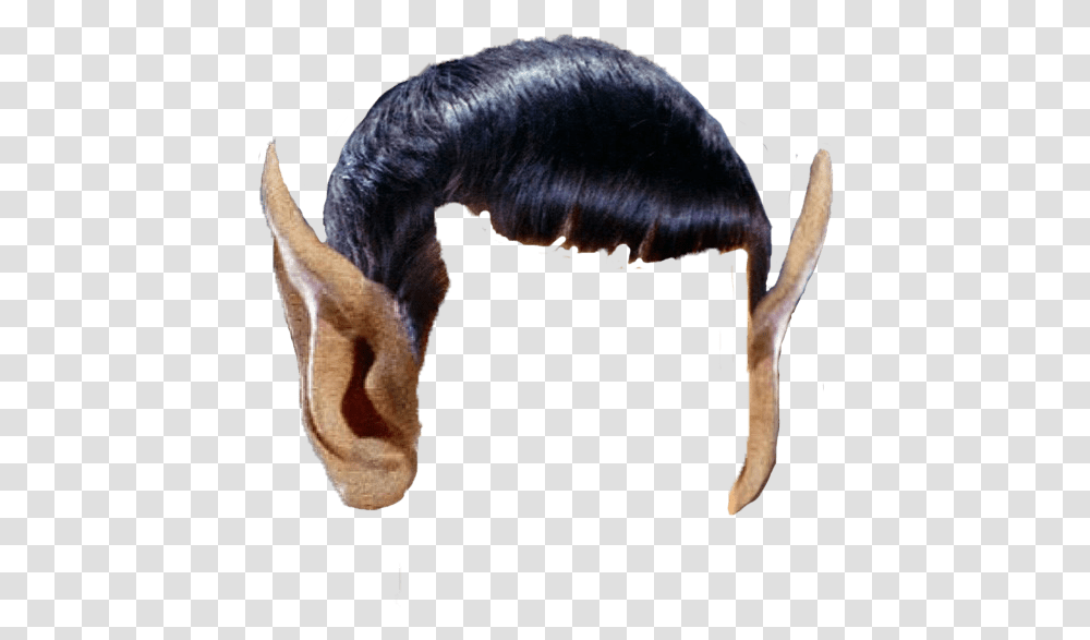 Vulcan Spock Hair Star Trek Ears, Animal, Bird, Mammal Transparent Png