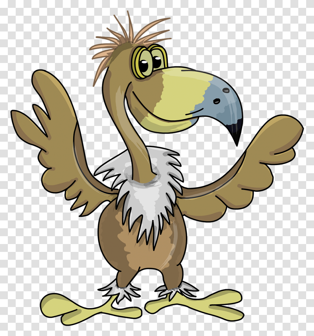 Vulture, Bird, Animal, Beak, Dodo Transparent Png