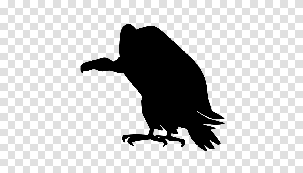 Vulture Bird Shape Free Vector Icons Designed, Silhouette, Animal, Crow, Stencil Transparent Png