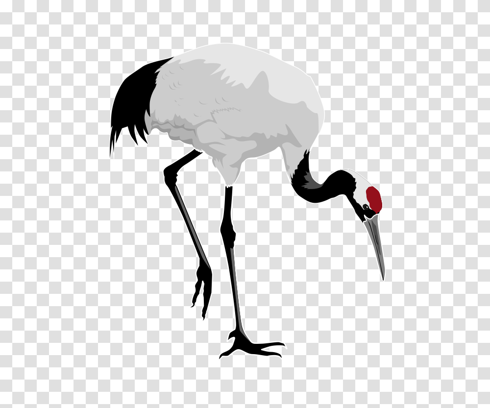 Vulture Clip Art, Bird, Animal, Flamingo, Crane Bird Transparent Png