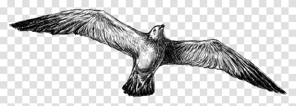 Vulture Clipart Black And White Golden Eagle, Gray, World Of Warcraft Transparent Png