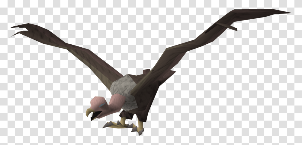 Vulture Download Vulture, Bird, Animal, Flying, Condor Transparent Png