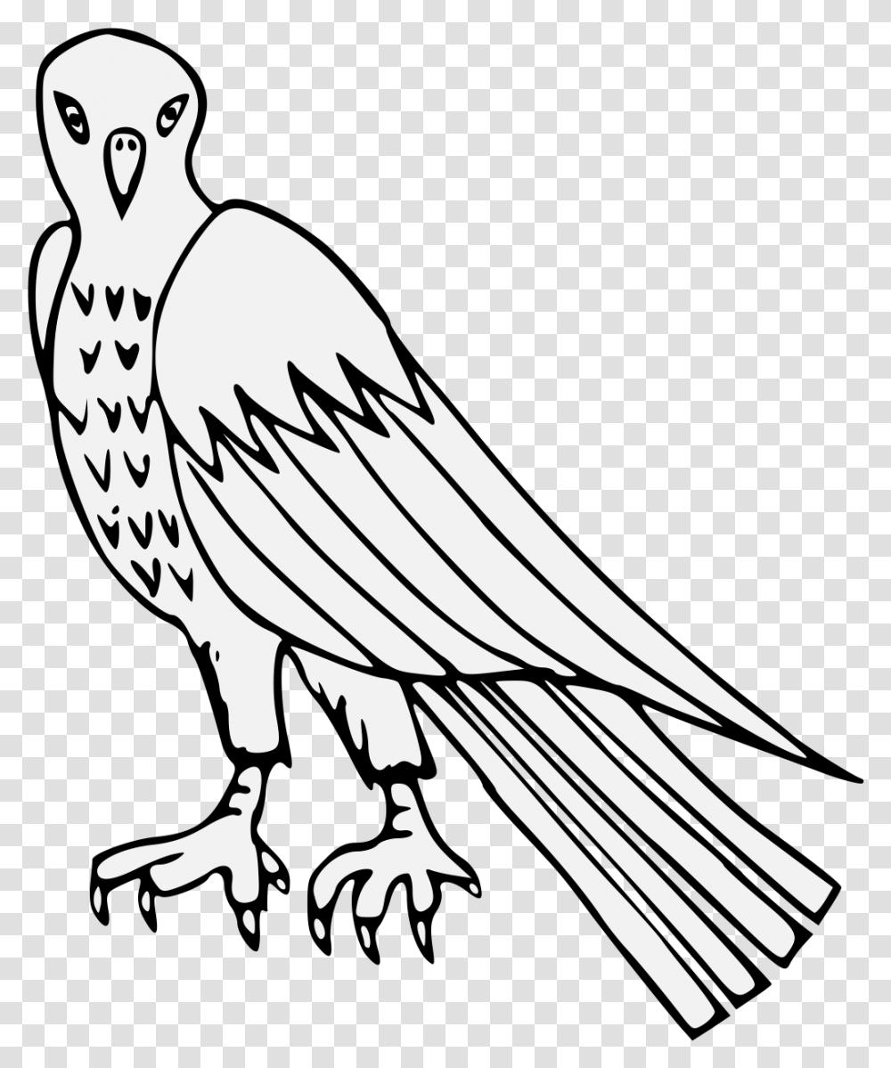 Vulture Image With No Background Clip Art, Bird, Animal, Condor, Mixer Transparent Png