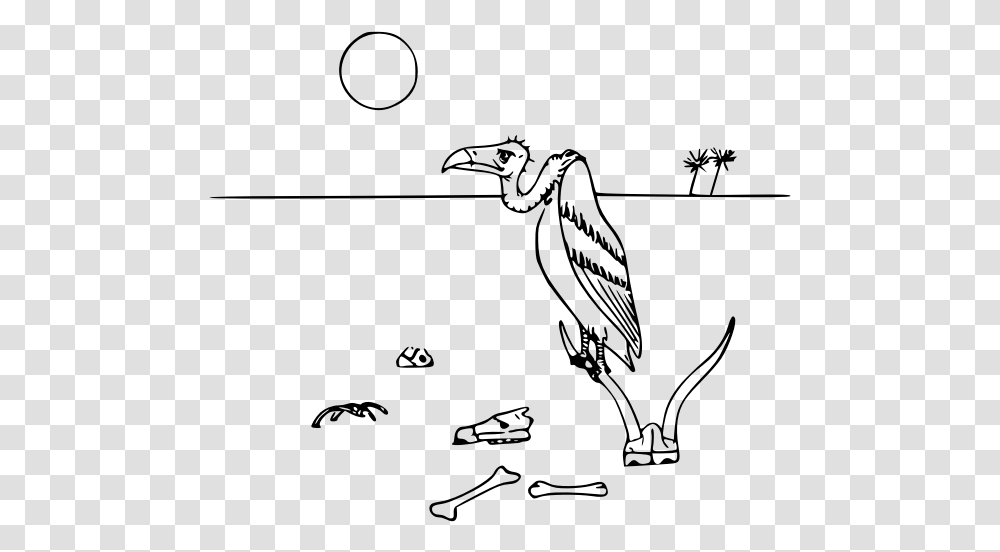 Vulture In Desert Vector Illustration, Gray, World Of Warcraft Transparent Png