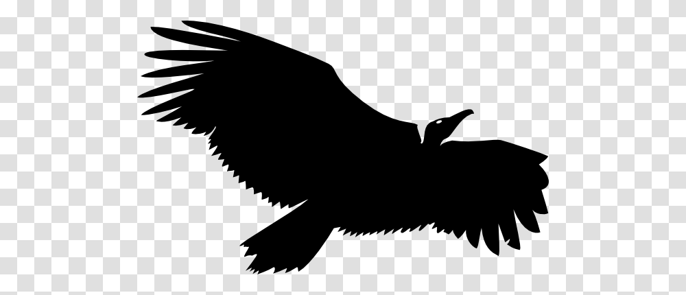 Vulture Life Logo Clip Art, Silhouette, Eagle, Bird, Animal Transparent Png