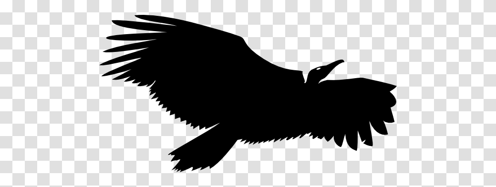 Vulture Life Logo, Silhouette, Eagle, Bird, Animal Transparent Png