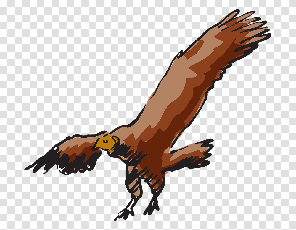 Vulture Scavanger Buzzard Bird Carnivore Carrion Buzzard Flying Clipart, Hook, Claw, Animal, Giraffe Transparent Png
