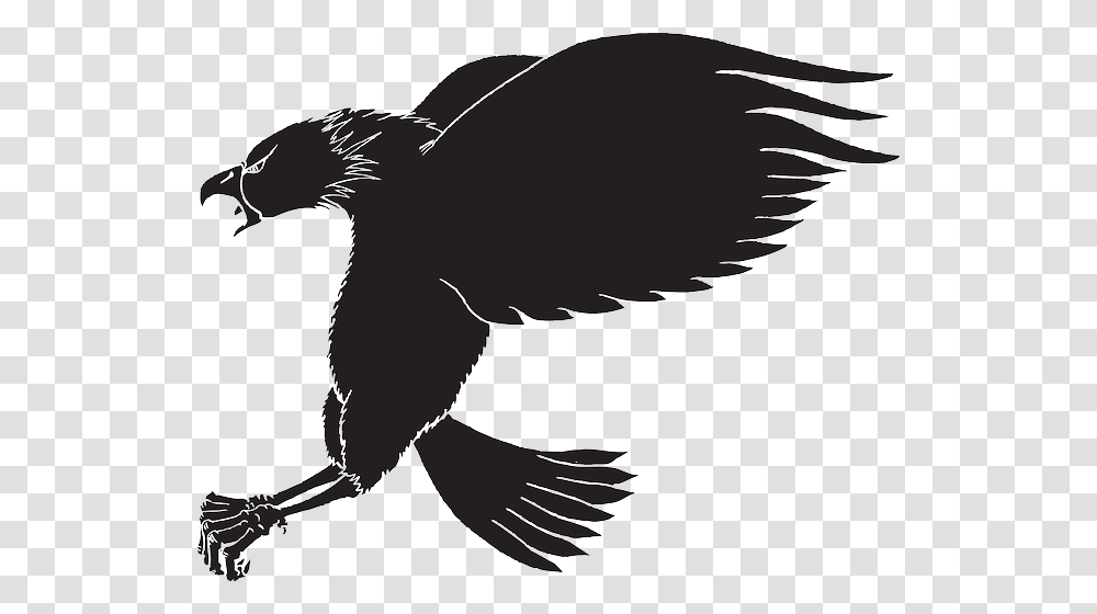 Vulture Vector Eagle Open Wing Screaming Eagle Silhouette, Flying, Bird, Animal, Crow Transparent Png