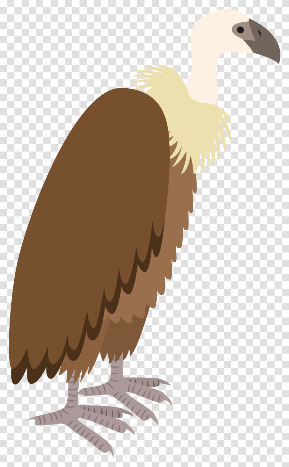 Vultures Drawing Colorful Huge Freebie Download For, Bird, Animal, Condor, Waterfowl Transparent Png